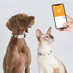 Xiaomi-PETKIT inteligente Pet Coleiras Tag, Bluetooth, Controle Remoto, Atividade Impermeável, Dormir Monitor para Cão, Gato, Pet Supplies, Novo - Image 2