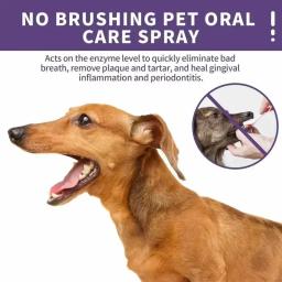 50ml pet oral limpar spray cães gatos boca dentes frescos desodorante limpo evitar cálculo remover gatinho mau hálito suprimentos para animais de estimação - Image 5