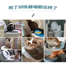 Kit De Treinamento De Toalete De Plástico Reutilizável, Tapete De Litter De Gato, Treinador De Toalete, Produto De Limpeza De Animais De Estimação, Cachorro, Gato, 2024 - Image 5