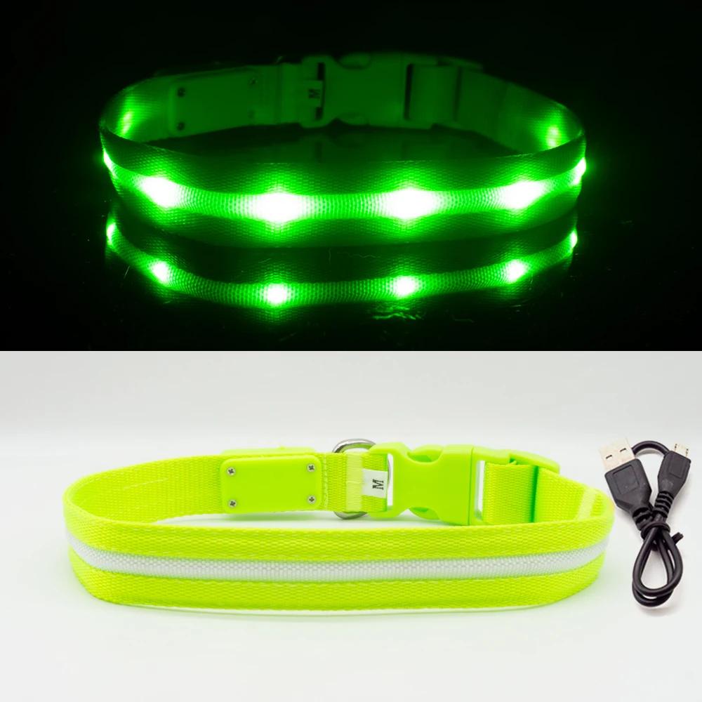 Ipx7 à prova dwaterproof água led coleira de cachorro natal usb carregamento colar para cães filhotes anti-perdido chumbo produtos para animais de estimação acessórios para cães - Image 1